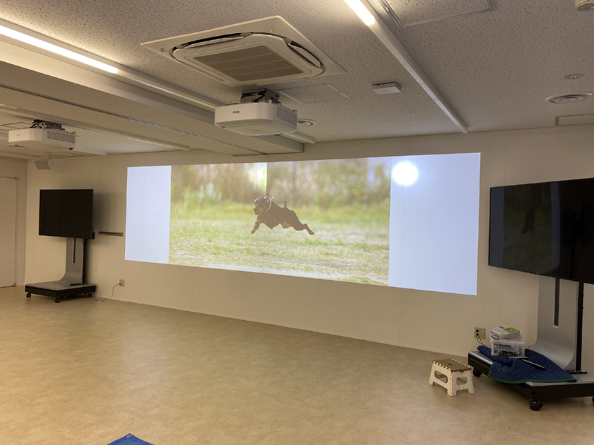 ２面マルチプロジェクター